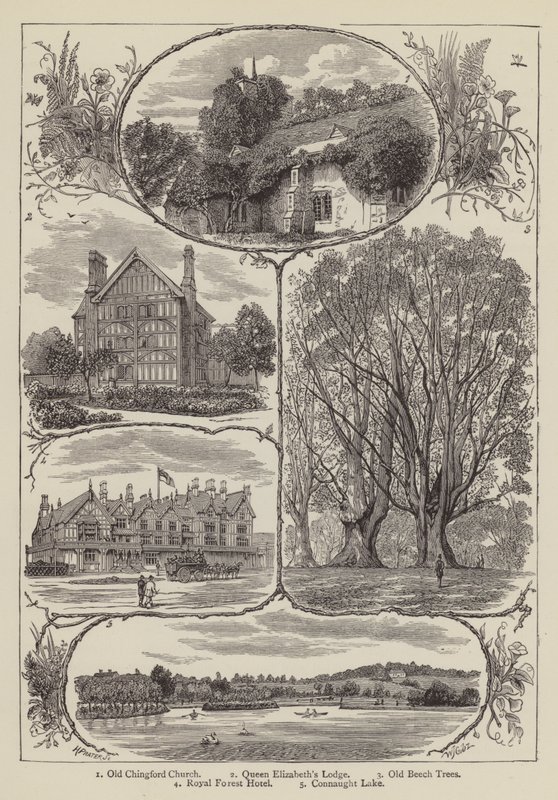 Chingford (grabado) de English School