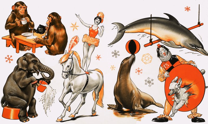 Montaje de circo de English School