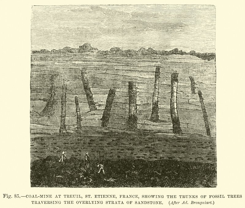 Mina de carbón en Treuil, St Etienne, Francia, mostrando los troncos de árboles fósiles atravesando las capas superpuestas de arenisca de English School