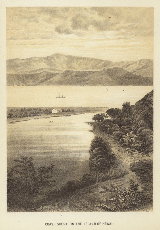 Escena costera en la isla de Hawái de English School