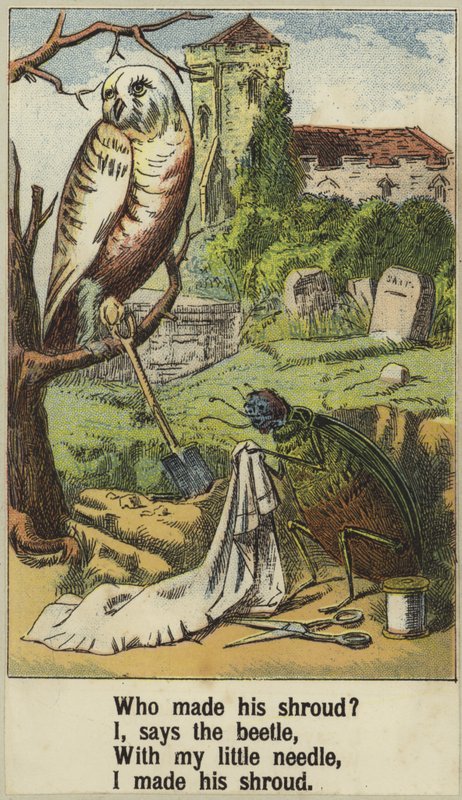 Cock Robin de English School