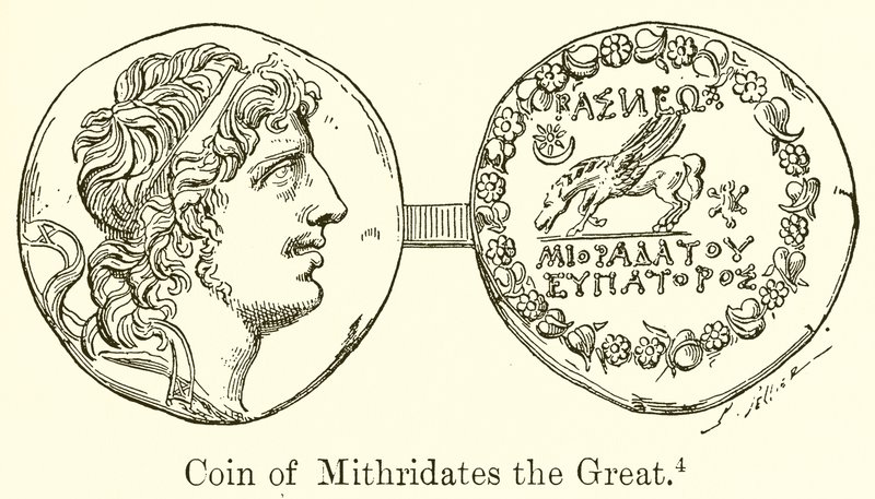 Moneda de Mitrídates el Grande de English School