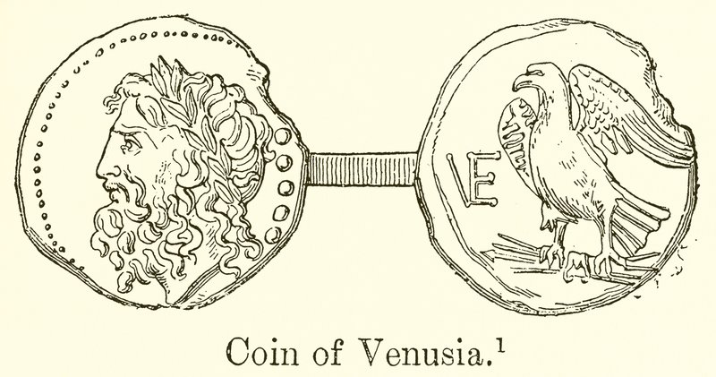 Moneda de Venusia de English School