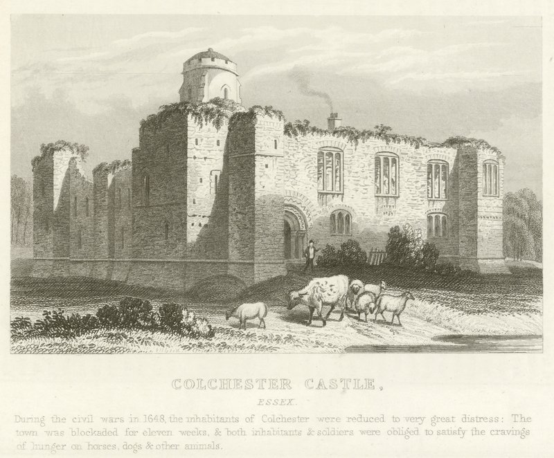 Castillo de Colchester, Essex de English School