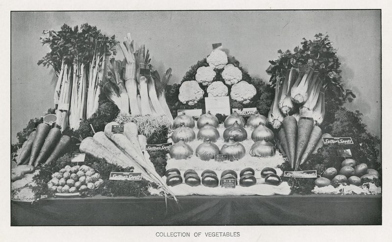 Colección de vegetales de English School