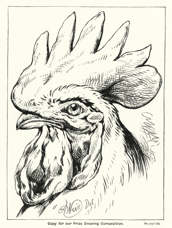 Copia para nuestro concurso de dibujo (grabado) de English School