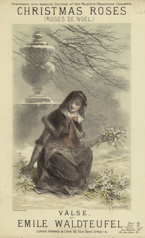 Portada de Rosas de Navidad de English School