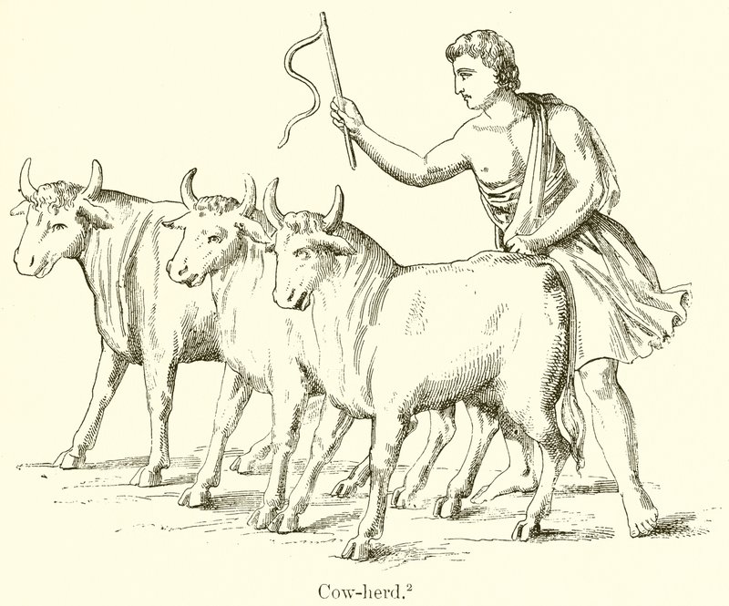 Pastor de Vacas de English School