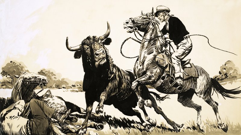 Vaqueros en el interior de Australia tratando de atrapar un toro de English School