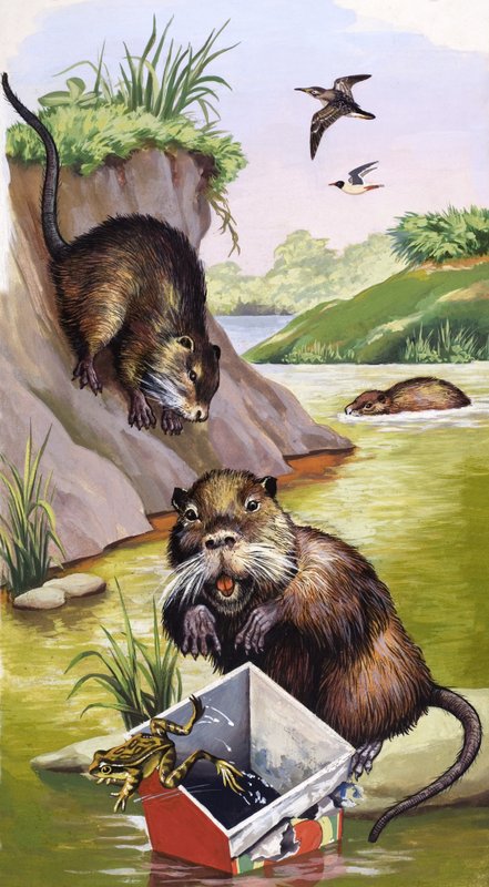 Coypu de English School