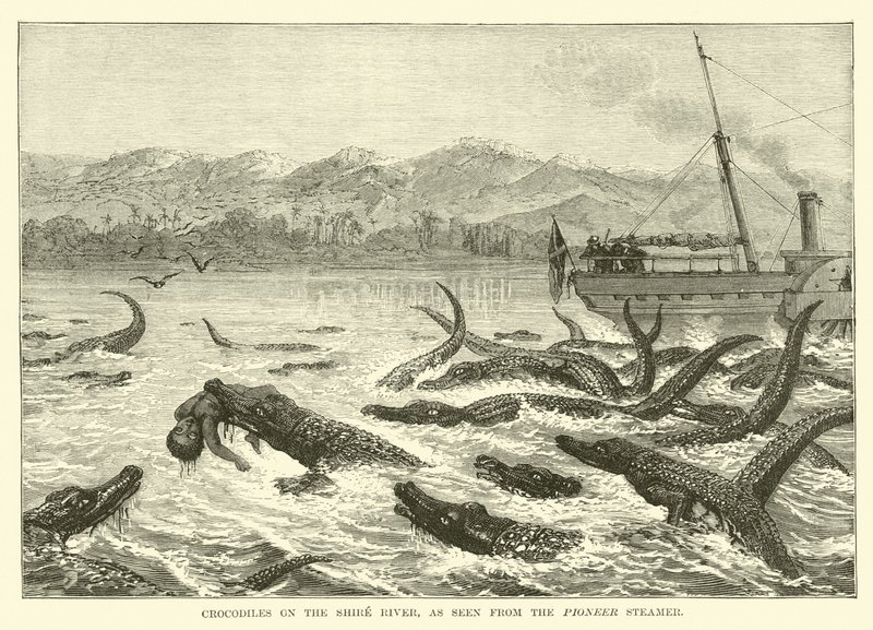 Cocodrilos en el río Shire, vistos desde el vapor Pioneer de English School