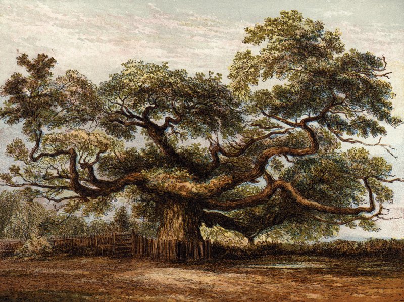 Roble Crouch, Addlestone de English School