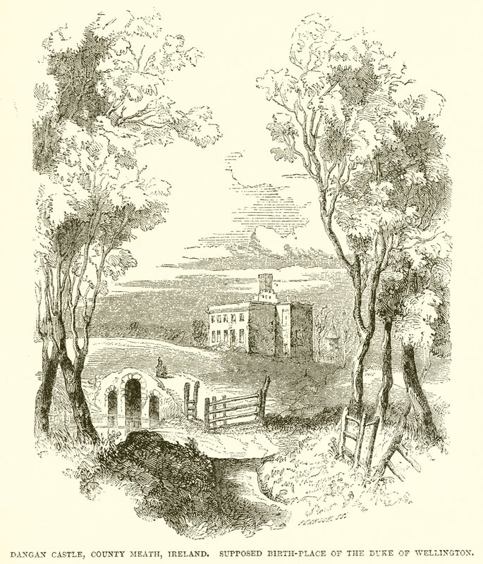 Castillo de Dangan, Condado de Meath, Irlanda. Supuesto lugar de nacimiento del Duque de Wellington de English School