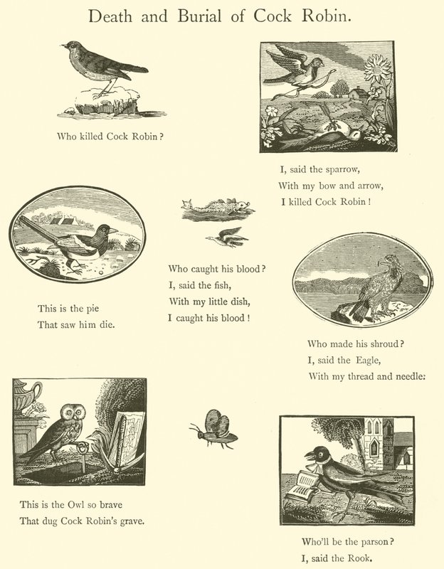 La muerte y el entierro de Cock Robin de English School