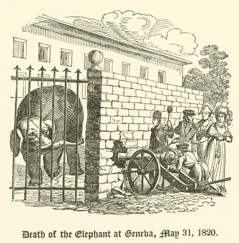 Muerte del elefante en Ginebra, 31 de mayo de 1820 de English School