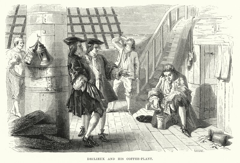 Declieux y su Planta de Café (grabado) de English School