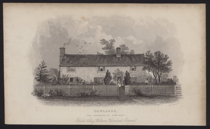 Dewlands, residencia de John Ray, Black Notley, Witham Hundred, Essex (grabado) de English School