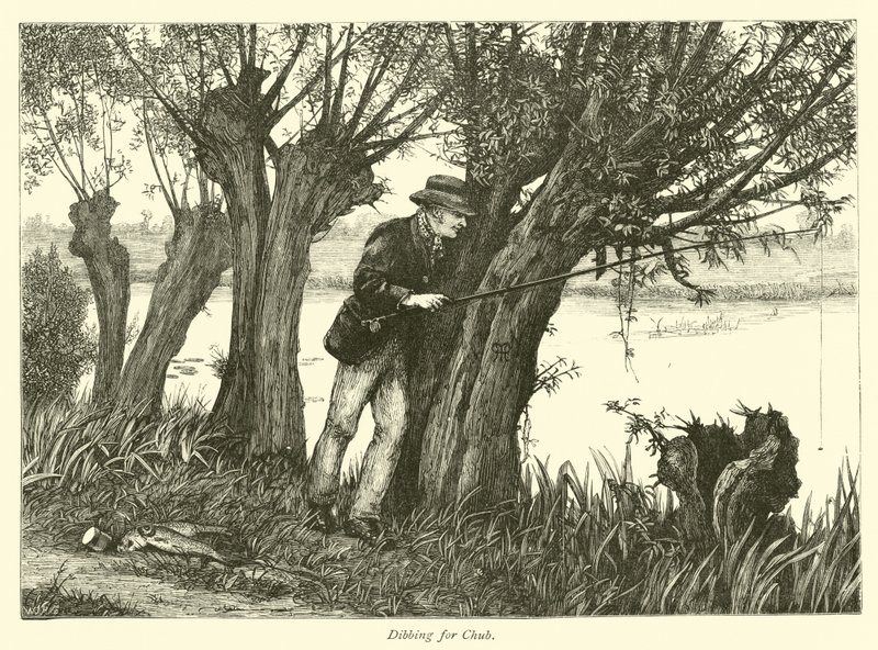 Pesca de Cacho de English School