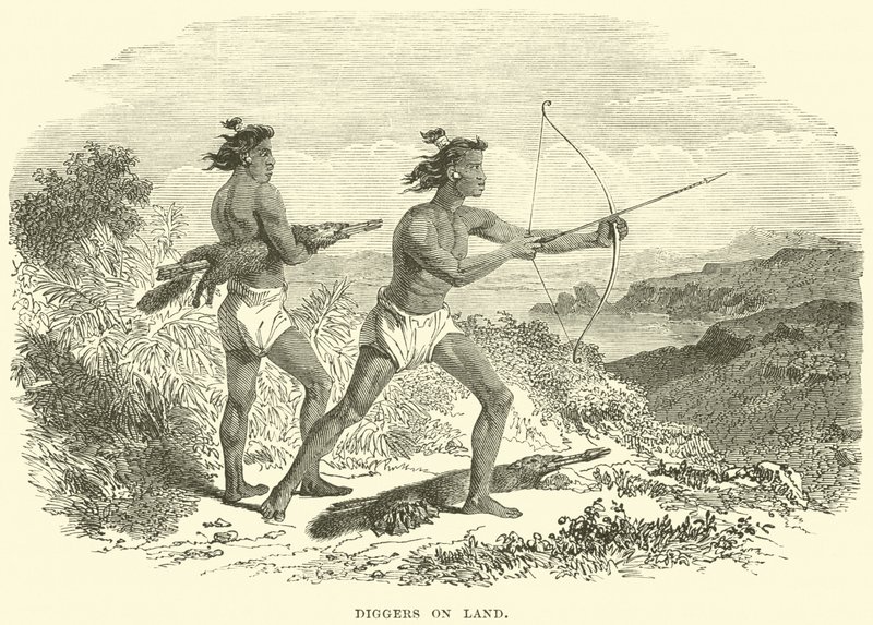 Excavadores en tierra de English School
