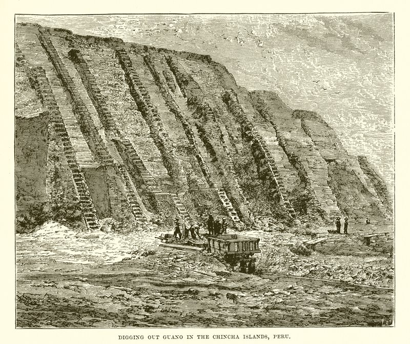 Extrayendo guano en las islas Chincha, Perú de English School