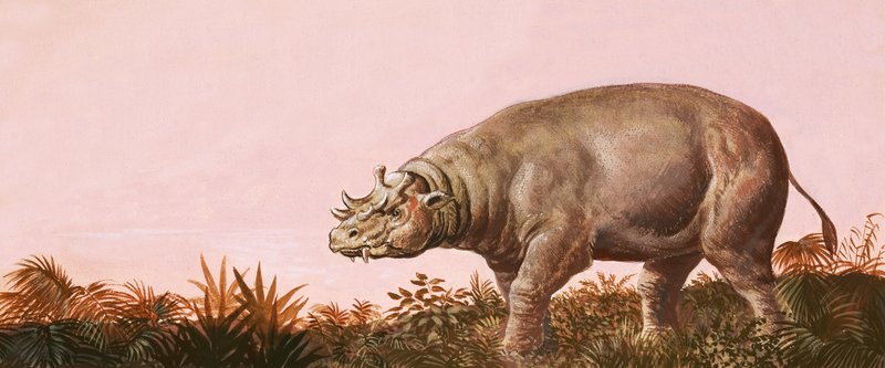 Dinosaurio de English School