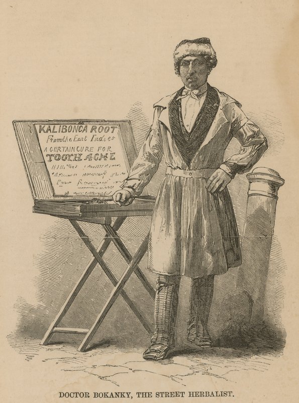 Doctor Bokanky, el herbolario ambulante de English School