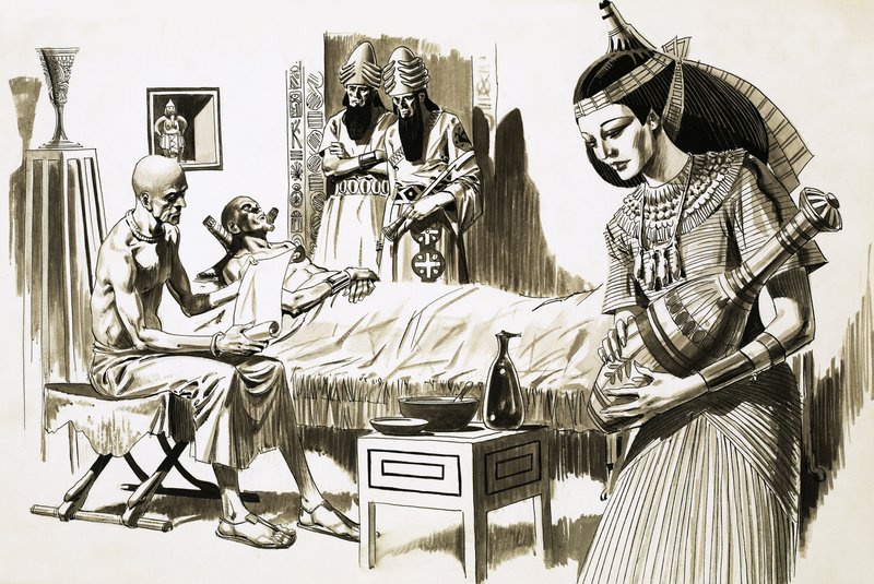 Doctores del Antiguo Egipto de English School