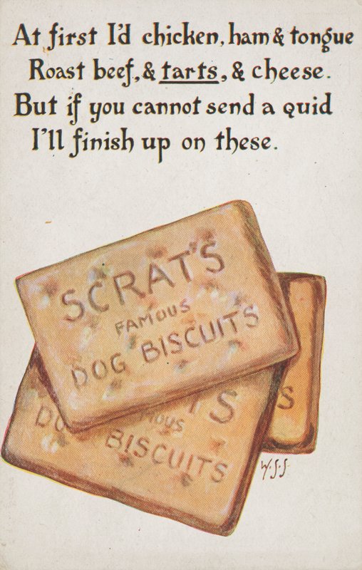 Galletas para perros (lito de color) de English School