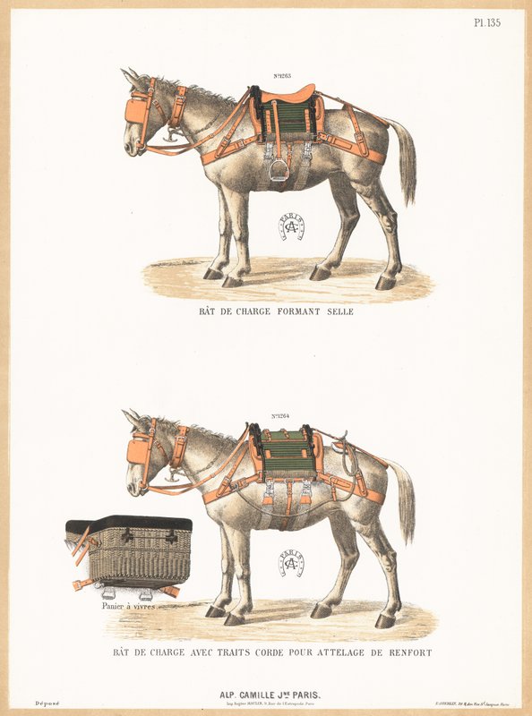 Burros con monturas de English School