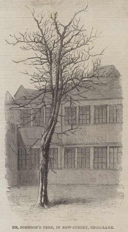 El árbol del Dr. Johnson, en New-Street, Shoe-Lane (grabado) de English School
