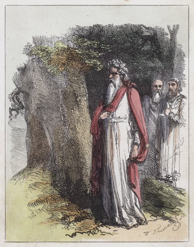 Druidas de English School