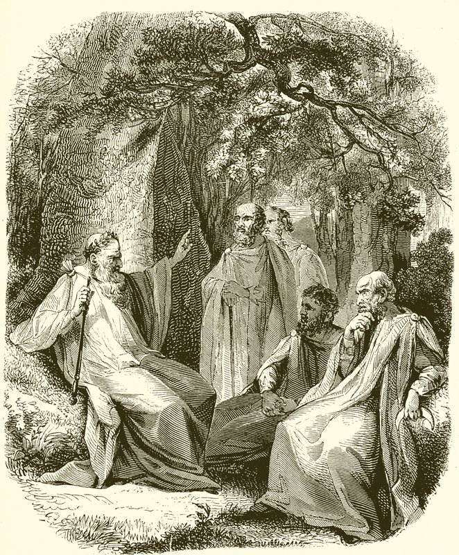 Druidas en el bosque sagrado de English School