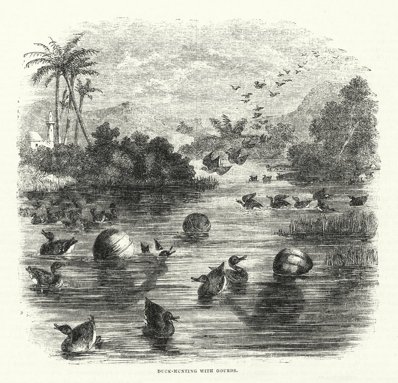 Caza de patos con calabazas (grabado) de English School