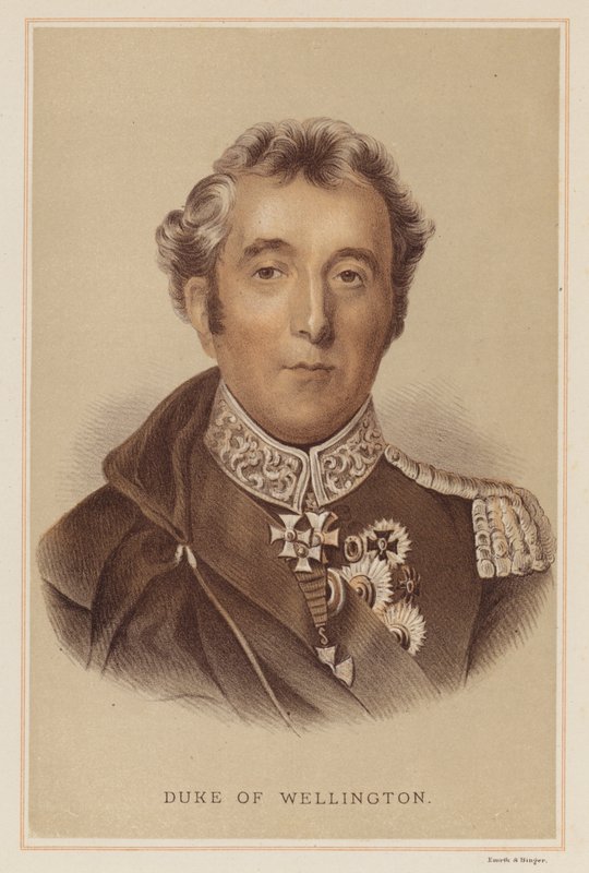 Duque de Wellington (litografia en color) de English School