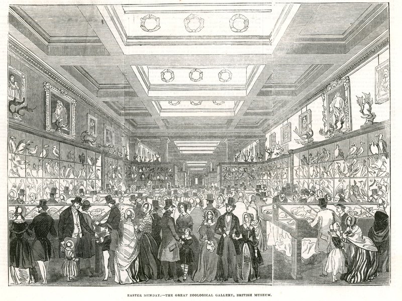 Lunes de Pascua - la Gran Galería Zoológica, Museo Británico de English School