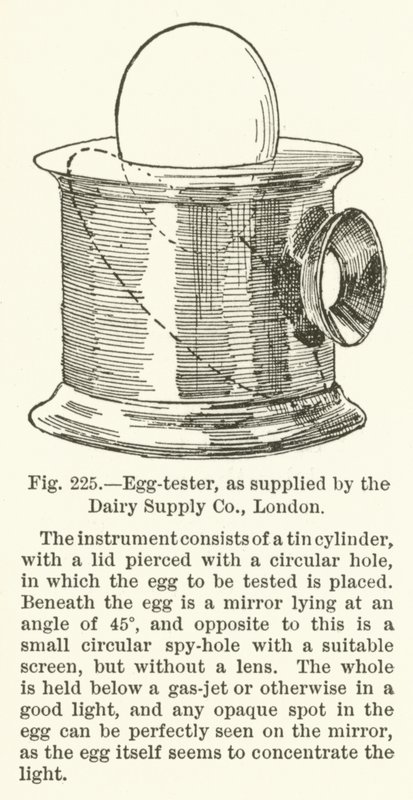 Probador de Huevos, suministrado por Dairy Supply Company, Londres de English School