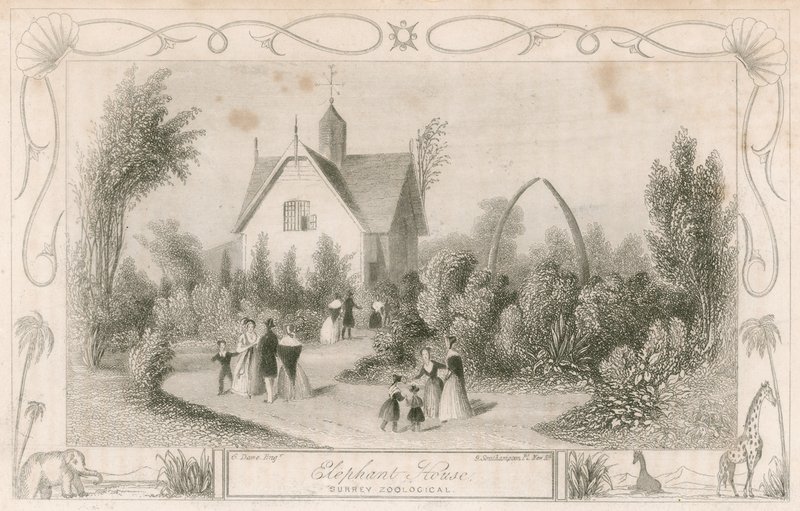 Casa de los elefantes en los Jardines Zoológicos de Surrey, Londres de English School
