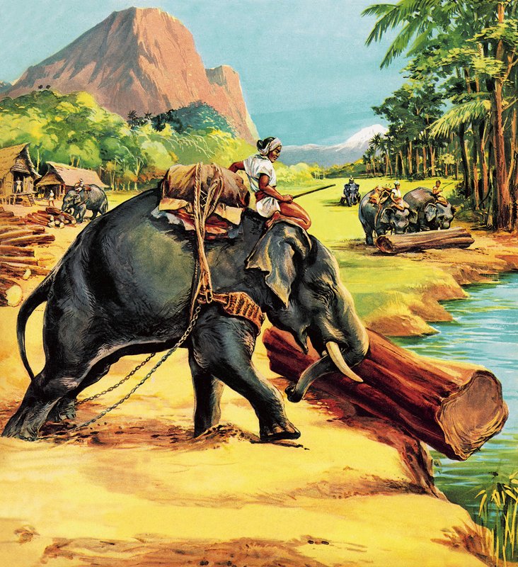 Elefante. Ilustración de Elephant Bill por el Teniente Coronel J. H. Williams de English School