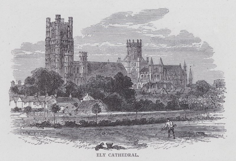Catedral de Ely de English School