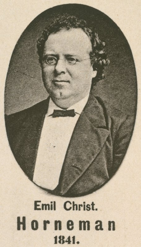 Emil Christian Horneman de English School