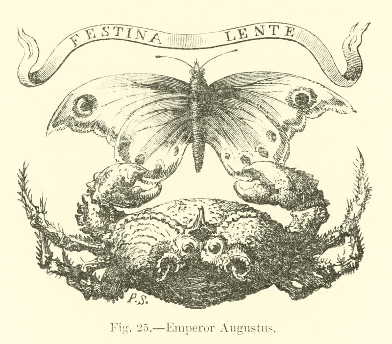 Emperador Augusto de English School