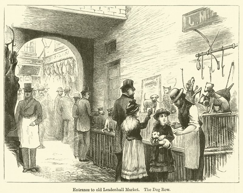 Entrada al antiguo Leadenhall Market, The Dog Row (grabado) de English School