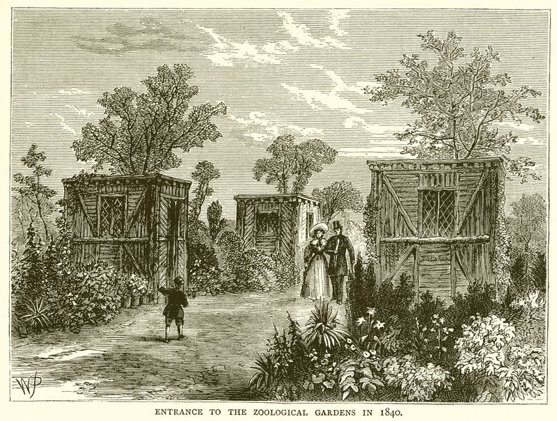 Entrada a los Jardines Zoológicos en 1840 de English School
