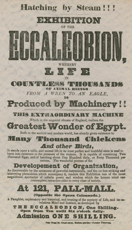 Exposición del Eccaleobion de English School