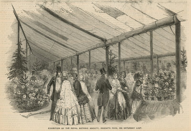 Exposición de la Sociedad Real de Botánica de English School