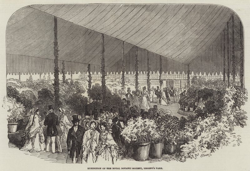 Exposición de la Real Sociedad Botánica, Regent