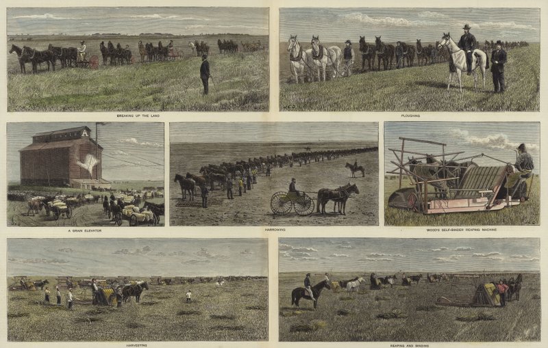 Agricultura en las llanuras de América del Norte de English School