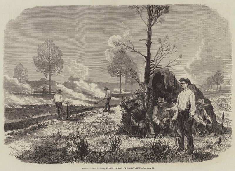 Incendios en las Landas, Francia, un puesto de observación de English School