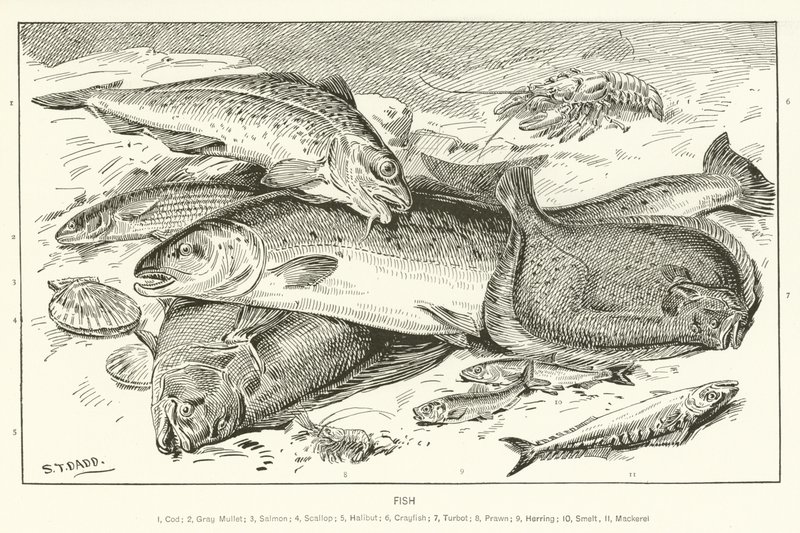 Pescado de English School