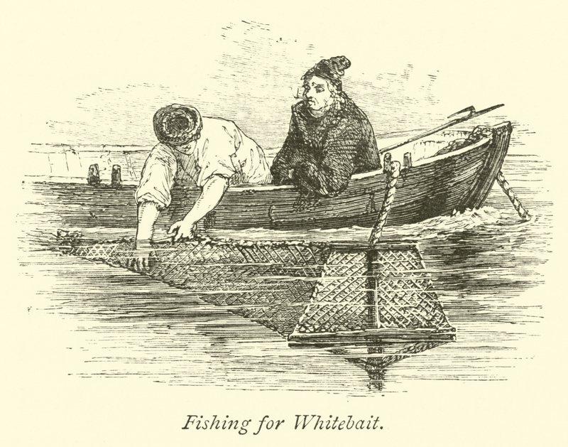 Pescando Pejerrey de English School